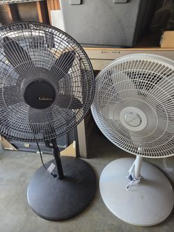 Stand Fan - Lasko