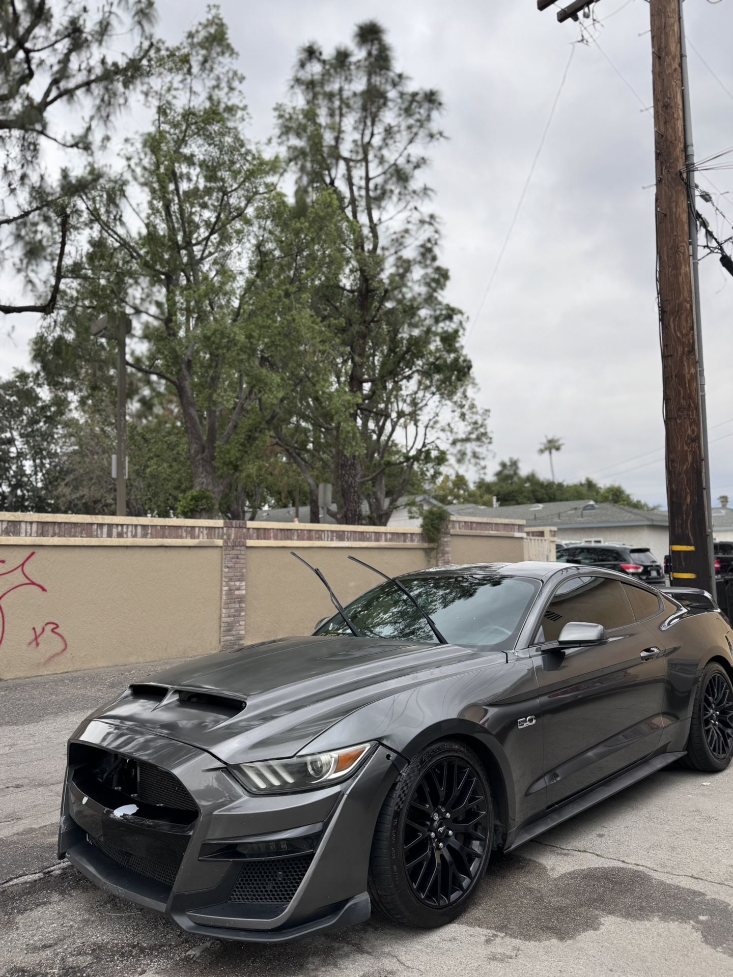 15-17 Mustang Hood