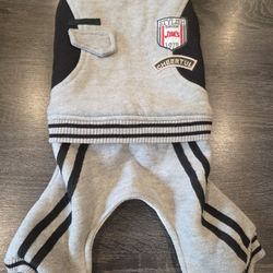 Dog Track Suit
