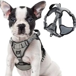 rabbitgoo Dog Harness, No Pull Dog Vest Harnesses with Bungee Shoulder Straps, Reflective Dog Walking Harness with Handle & 2 Metal Clips, Belly Adjus