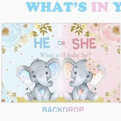 Gender Reveal Backdrop 