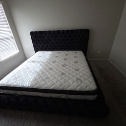 Queen Or King Platform Bed Frame NEW