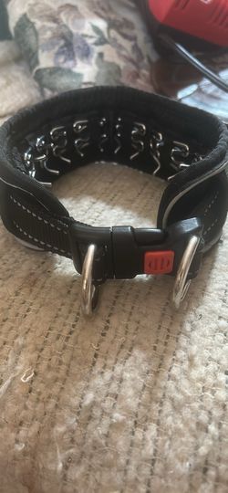 No pull: training collar