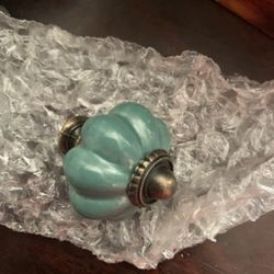 12 Pack Knobs Teal Color