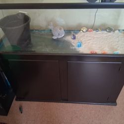 Fish Tank 