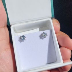 Elegant 1ct Moissanite Earrings