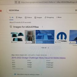 Challenger Stripe Kit Oem