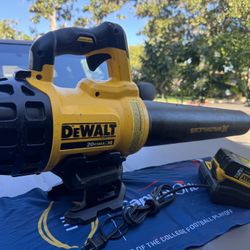 De WALT/20 V Max /xR