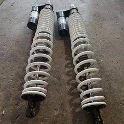 Podium Fox Shocks 