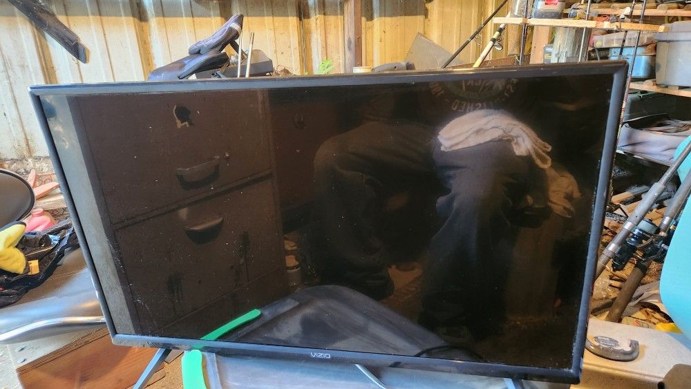 29" Vizio t v