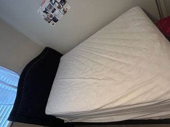 Black bed frame / bed / box spring