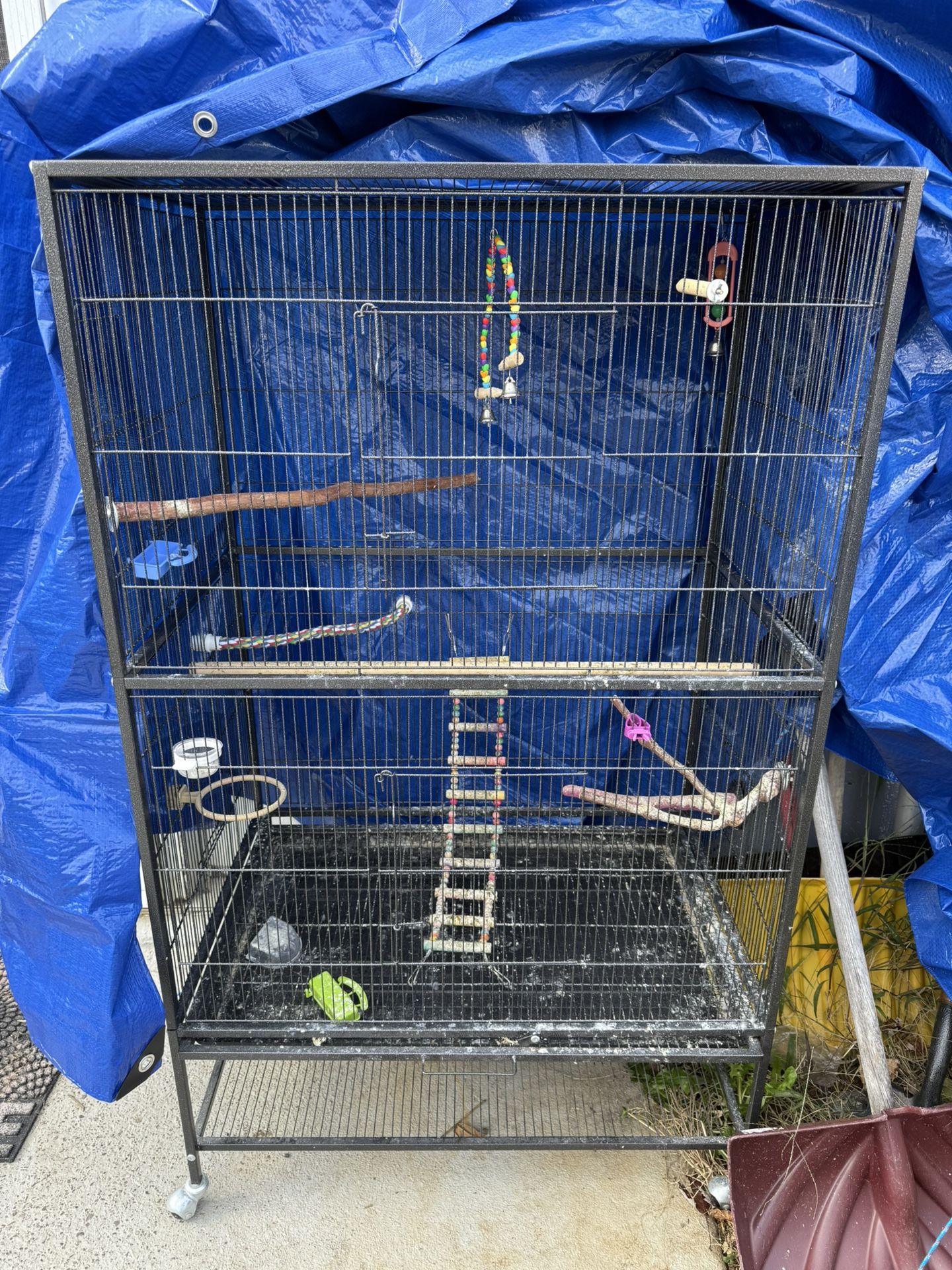 Cage Birds