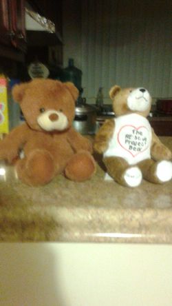 Two teddy bears