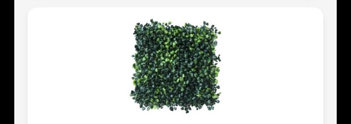 Faux Boxwood