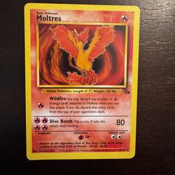 Fossil set moltres