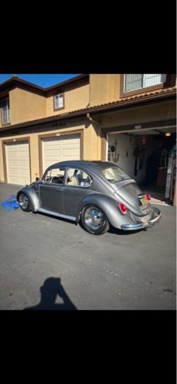 VW Beetle