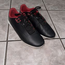 Ferrari Shoes