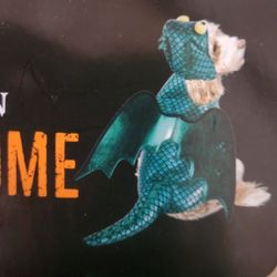 Dragon Pet Costume New