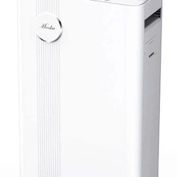HEPA Air Purifier