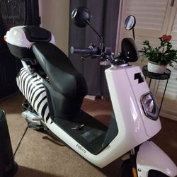 ZEBRA ELECTRIC  2024 SCOOTER 