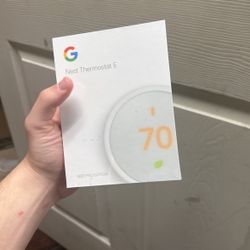 Google Nest Thermostat E Nest Pro Edition Nickelodeon Splat Attack! Reptar Rampage