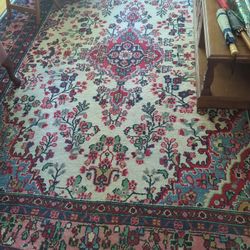 Oriental Style Area Rug 