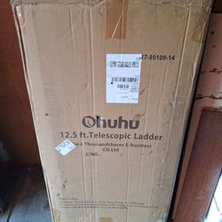 Telescopic Ladder