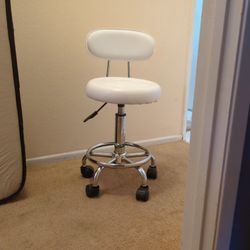 Adjustable Salon Stool