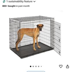 Large Dog Crate 