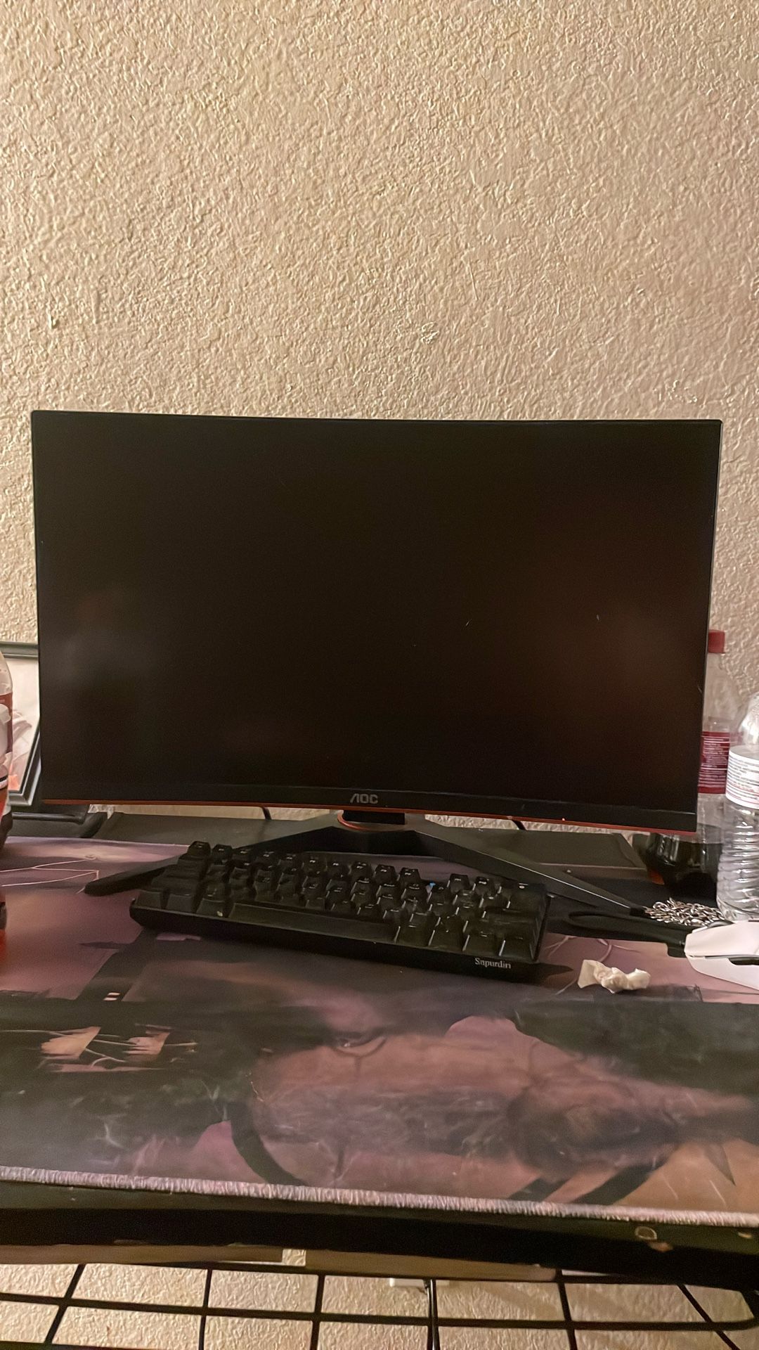 Aoc Monitor c24g1