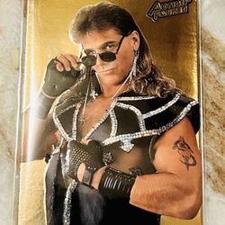 Shawn Michaels 1994 WWF Action Packed Gold #38 WWE HBK Card