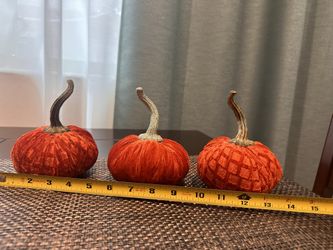 New Velvet Small Pumpkins 