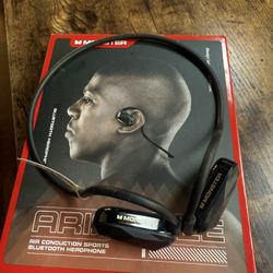 Monster Bluetooth Headphones 