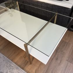 West Elm mid-century art display coffee table