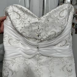 Plus Size Wedding Dress 