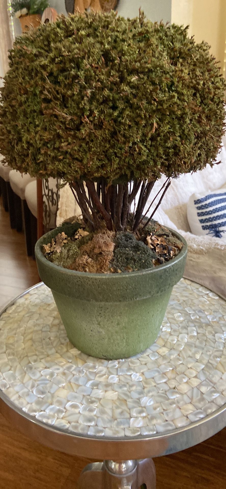 Ceramic Pot Tree Decor