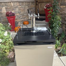 Dual Tap Kegerator 