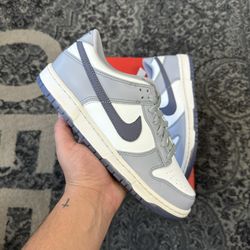 Nike Dunk Low Platinum Tint Light Carbon (FB9109-101)