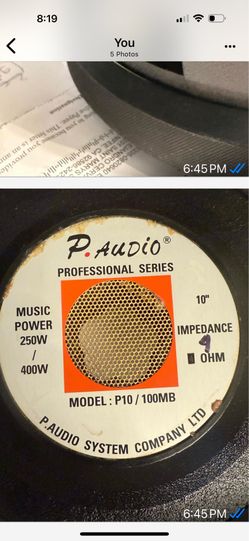 P. AUDIO PROFESSIONAL SERIES MODEL  P10/ 100MB