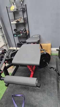 Leg extension/lying leg curl