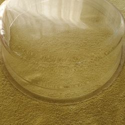 Washing Machine Door Glass