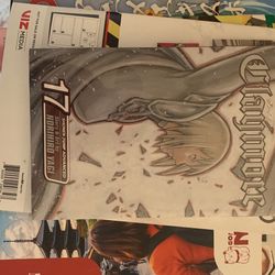 Claymore Manga Volume 17