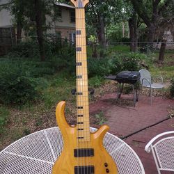 Schecter Riot-5 Electric Bass Guitar - Mint

