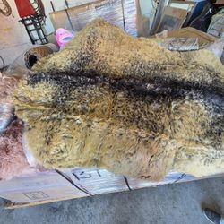 Grizzly Bear Faux Fur Rug 🐻 (Yes… it looks THIS real)