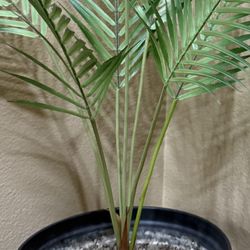 Beautiful Sago Palm Fake Plant In Very Nice Big Pot