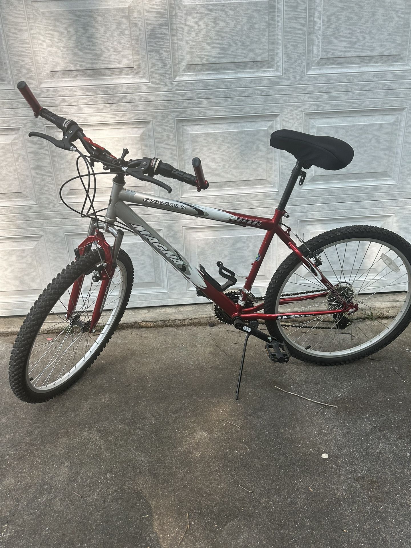 Adult Bike
