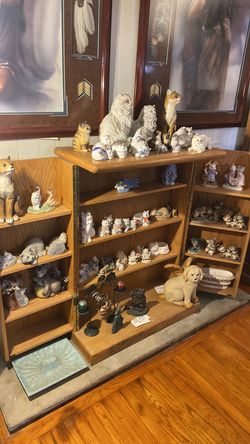 Cat collection  various prices inquire if interested