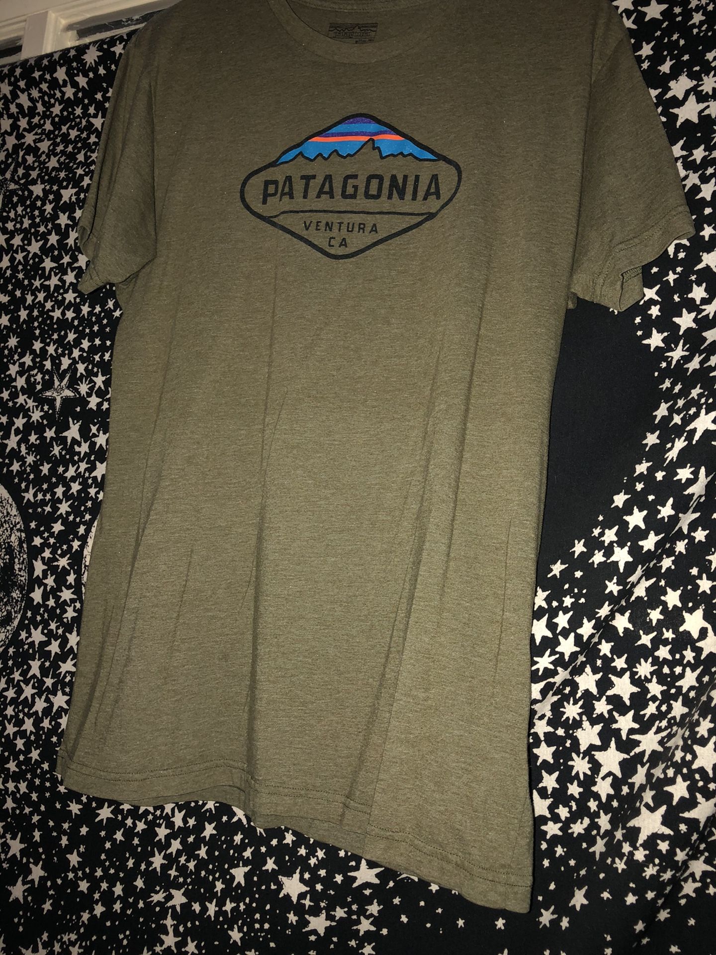 patagonia t-shirt