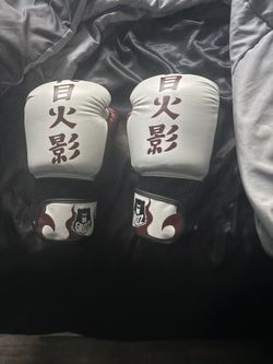 Minato Boxing Gloves