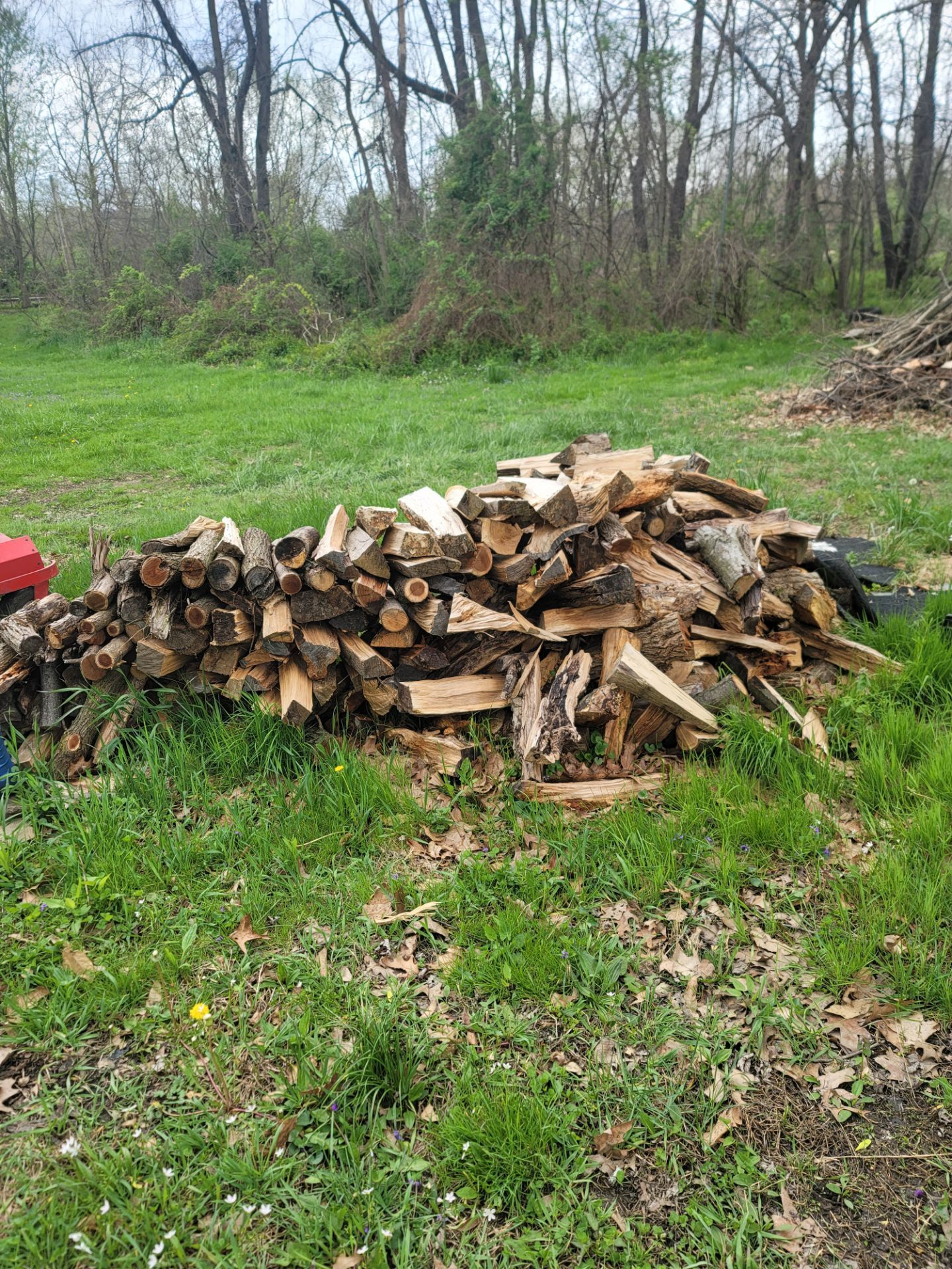 Wood Firewood
